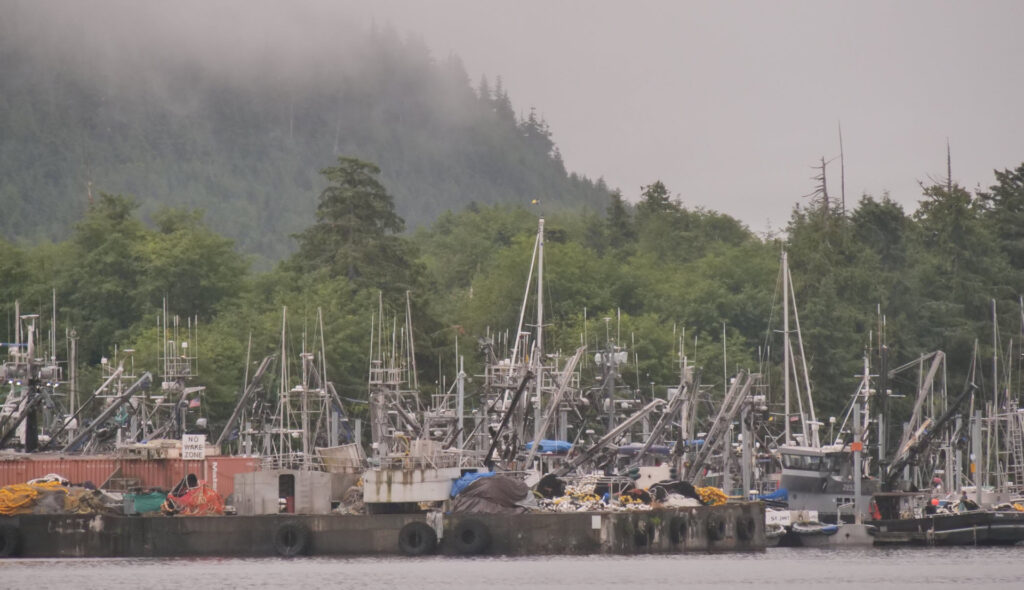 Craig harbor is packed while the commercial fishing fleet awaits an official opening.